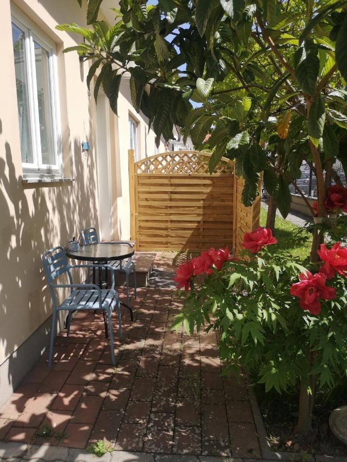 Terrasse Wohnungen Mit Parking In Zentrum Baden Extérieur photo