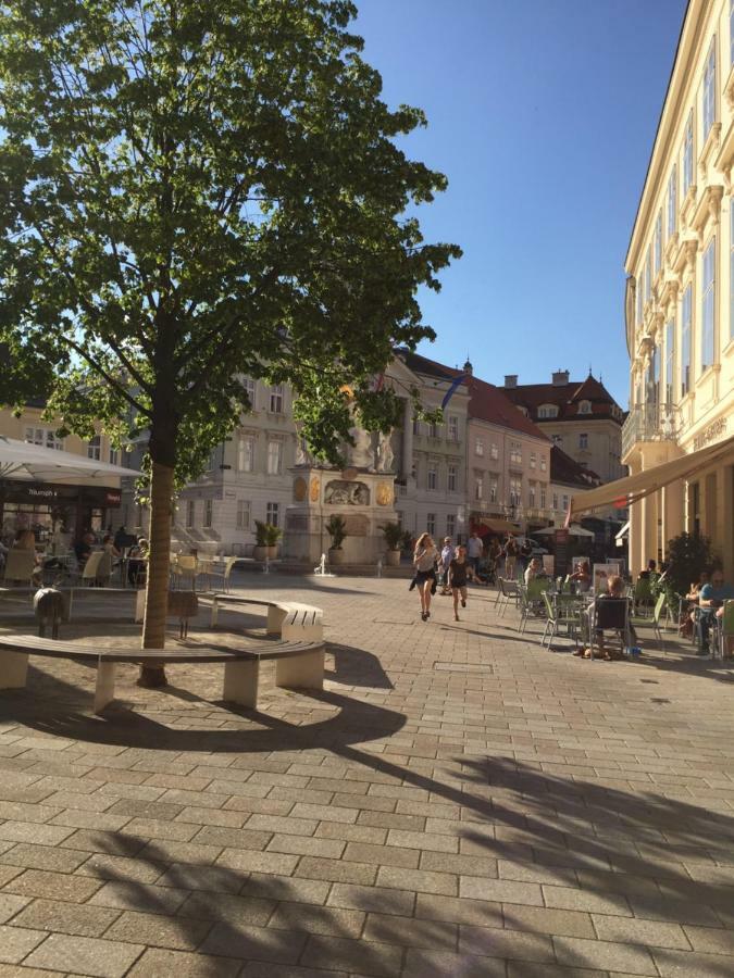 Terrasse Wohnungen Mit Parking In Zentrum Baden Extérieur photo