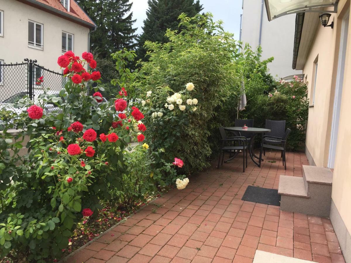Terrasse Wohnungen Mit Parking In Zentrum Baden Extérieur photo